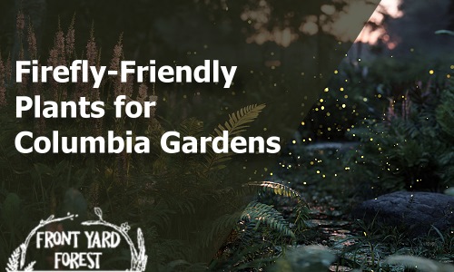 Native Plants for Fireflies in Columbia - Front Yard Forest sustainable landscaping article