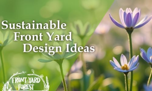Sustainable Front Yard Design: Beautiful & Eco-Friendly Ideas - Front Yard Forest sustainable landscaping article