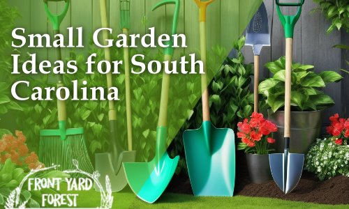 Small Garden Landscaping for South Carolina Droughts - Front Yard Forest sustainable landscaping article