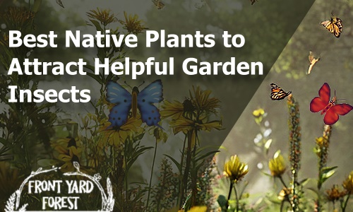 Best Native Plants to Attract Helpful Garden Insects - Front Yard Forest sustainable landscaping article