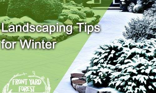 Sustainable Winter Landscape Design in Lexington & Columbia - Front Yard Forest sustainable landscaping article