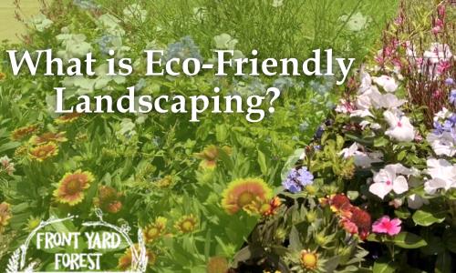 Eco-Friendly Landscaping in Columbia & Lexington, SC - Front Yard Forest sustainable landscaping article