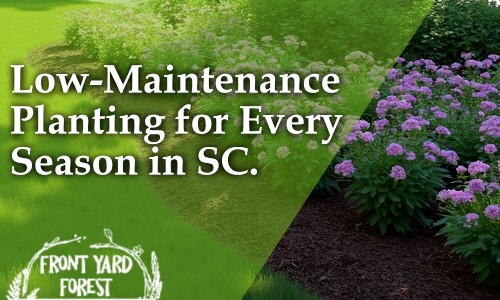 Seasonal Planting Tips for SC Homeowners - Front Yard Forest sustainable landscaping article