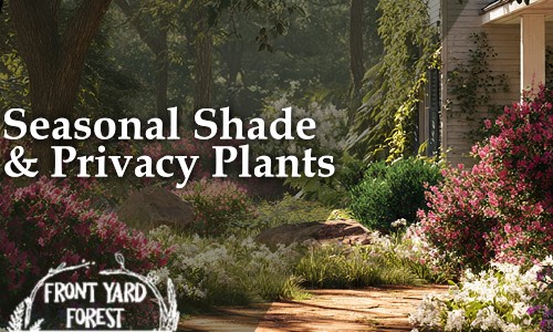 SC Backyard Garden Planner: Shade and Privacy - Front Yard Forest sustainable landscaping article