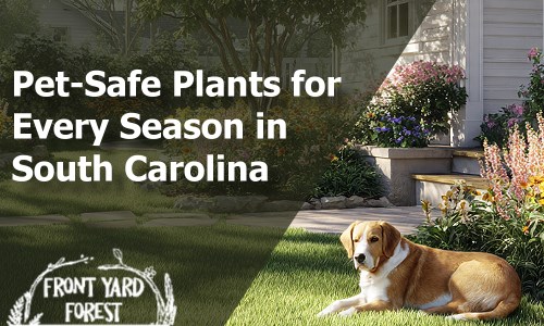 South Carolina Pet-Safe Yard Planning Guide - Front Yard Forest sustainable landscaping article