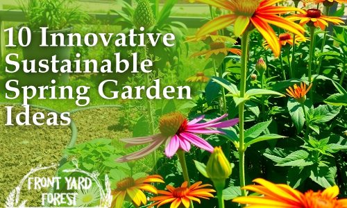 10 Sustainable Spring Garden Ideas for Eco-Friendly - Front Yard Forest sustainable landscaping article